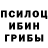 Псилоцибиновые грибы Magic Shrooms LoTTrak Minecraft