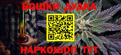 шишки Канаш