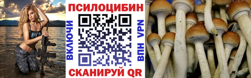OMG tor  Междуреченск  Галлюциногенные грибы мухоморы  как найти наркотики 