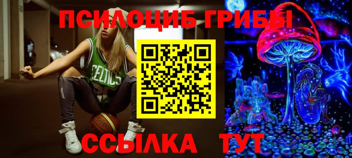 Псилоцибиновые грибы прущие грибы Междуреченск