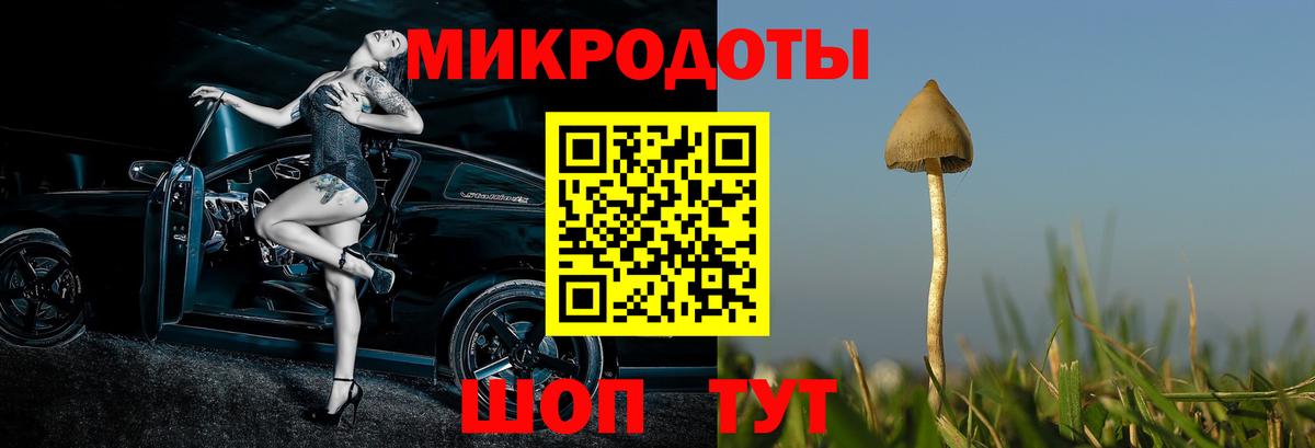 Псилоцибиновые грибы GOLDEN TEACHER  Вход с VPN  Галлюциногенные грибы мицелий  Междуреченск 